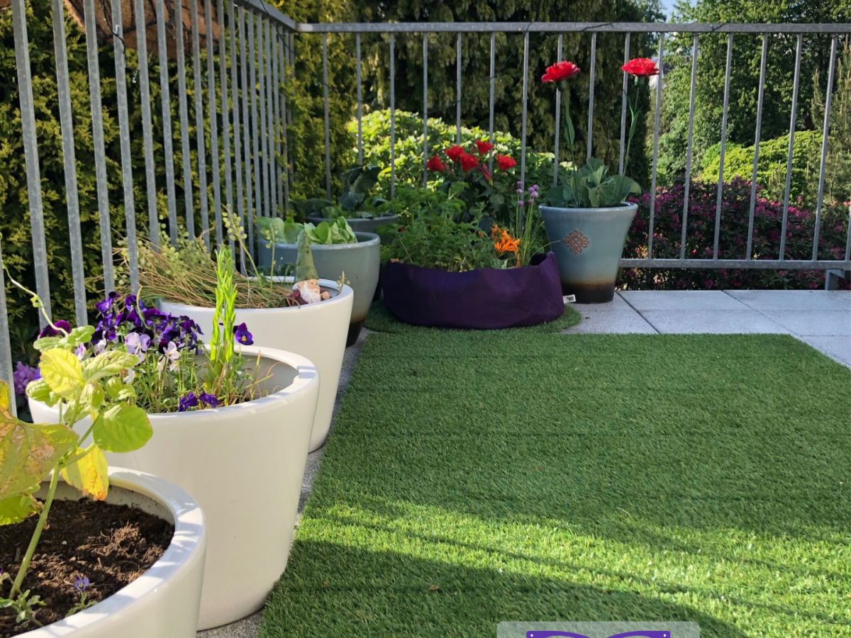 Garden Gnomes and Stuffed&nbsp;Peppers